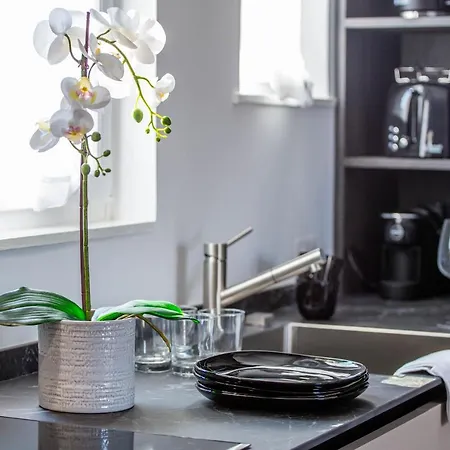 Apartamento Luxury Floor In Trastevere *